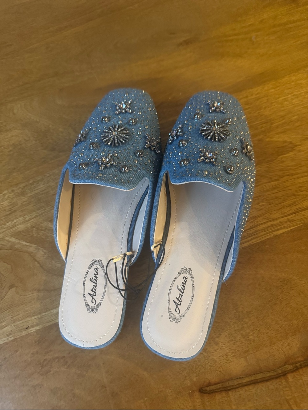 Atalina Embellished Blue Slip-On Mules